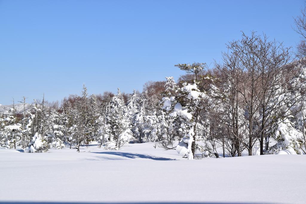 Villa Ichinose Yamanouchi (Nagano) Exterior foto